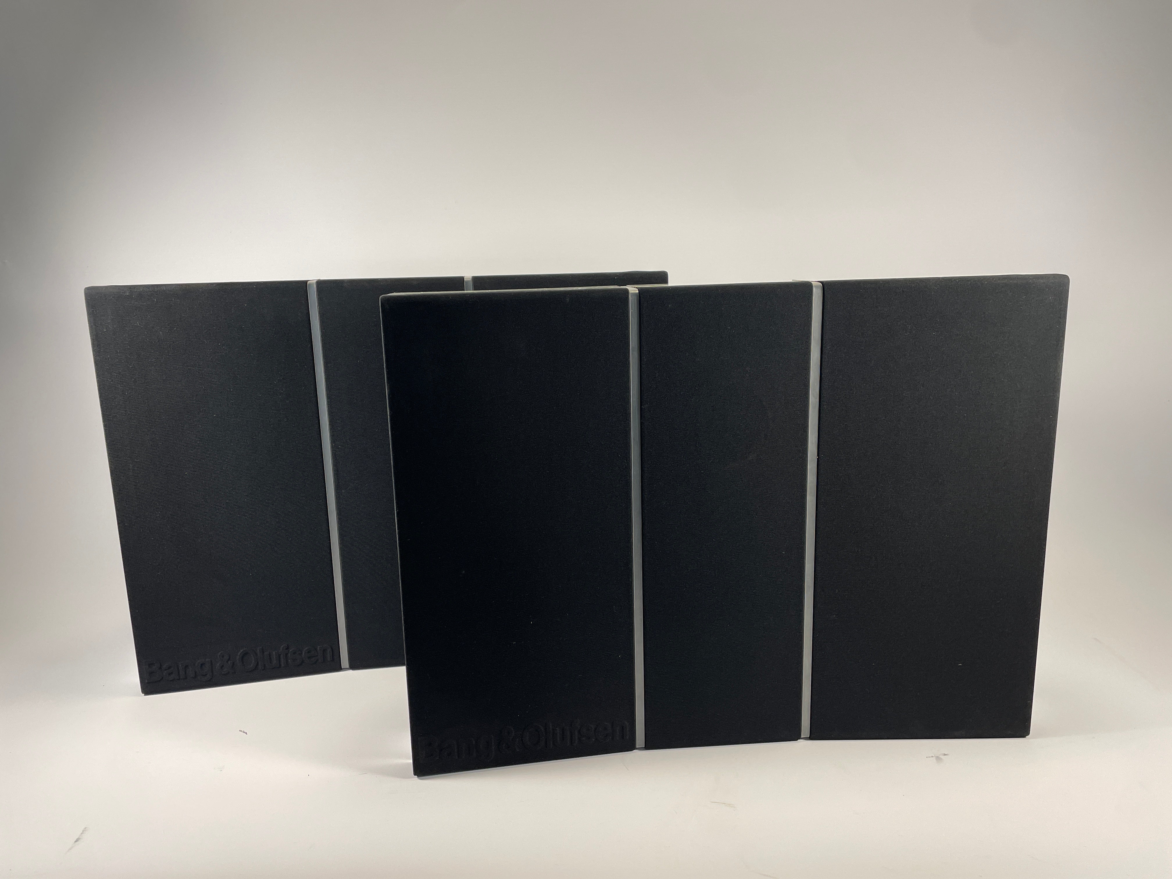 BeoVox RL 2000 (09681497)