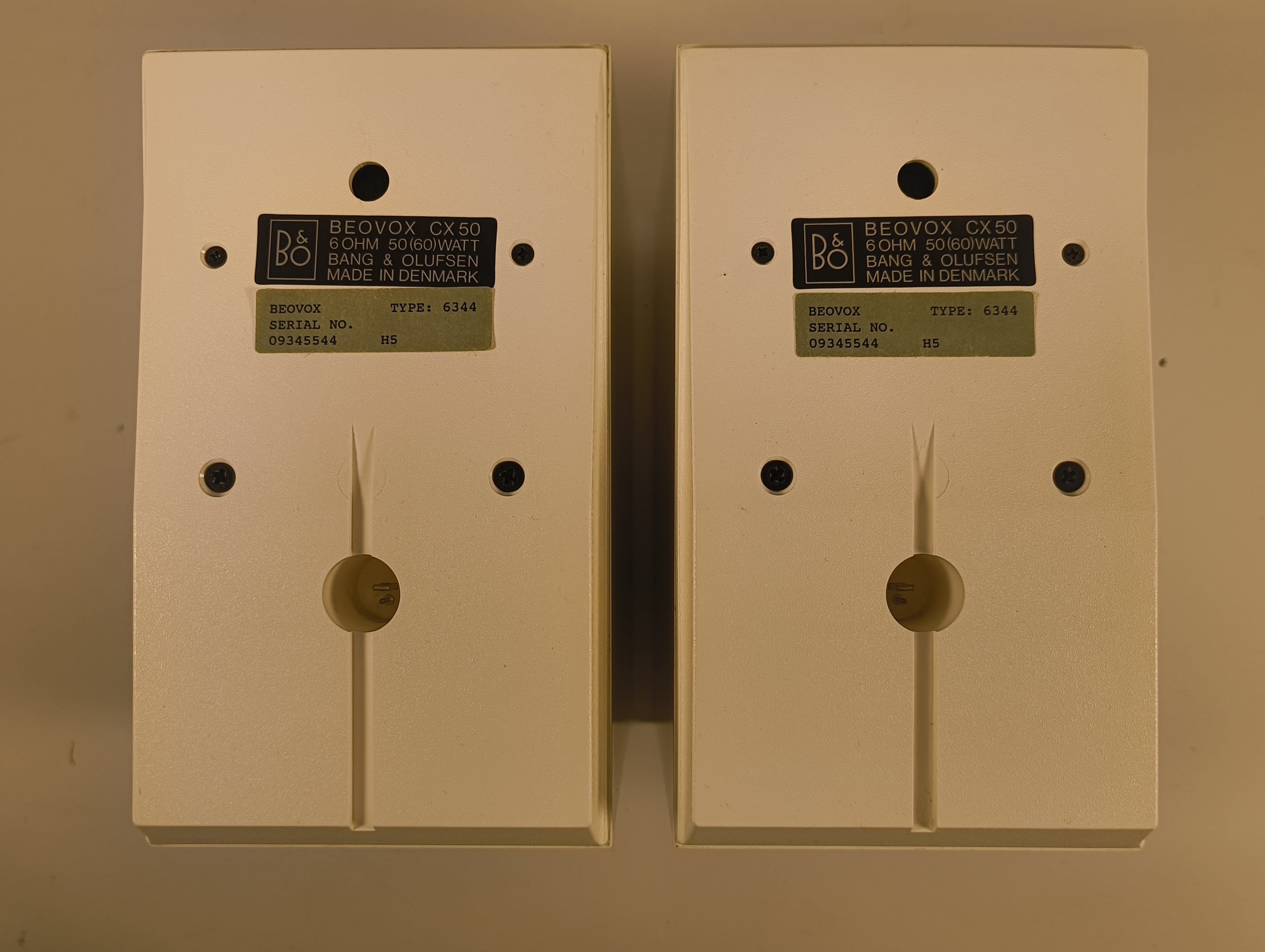 BeoVox CX 50 (1)