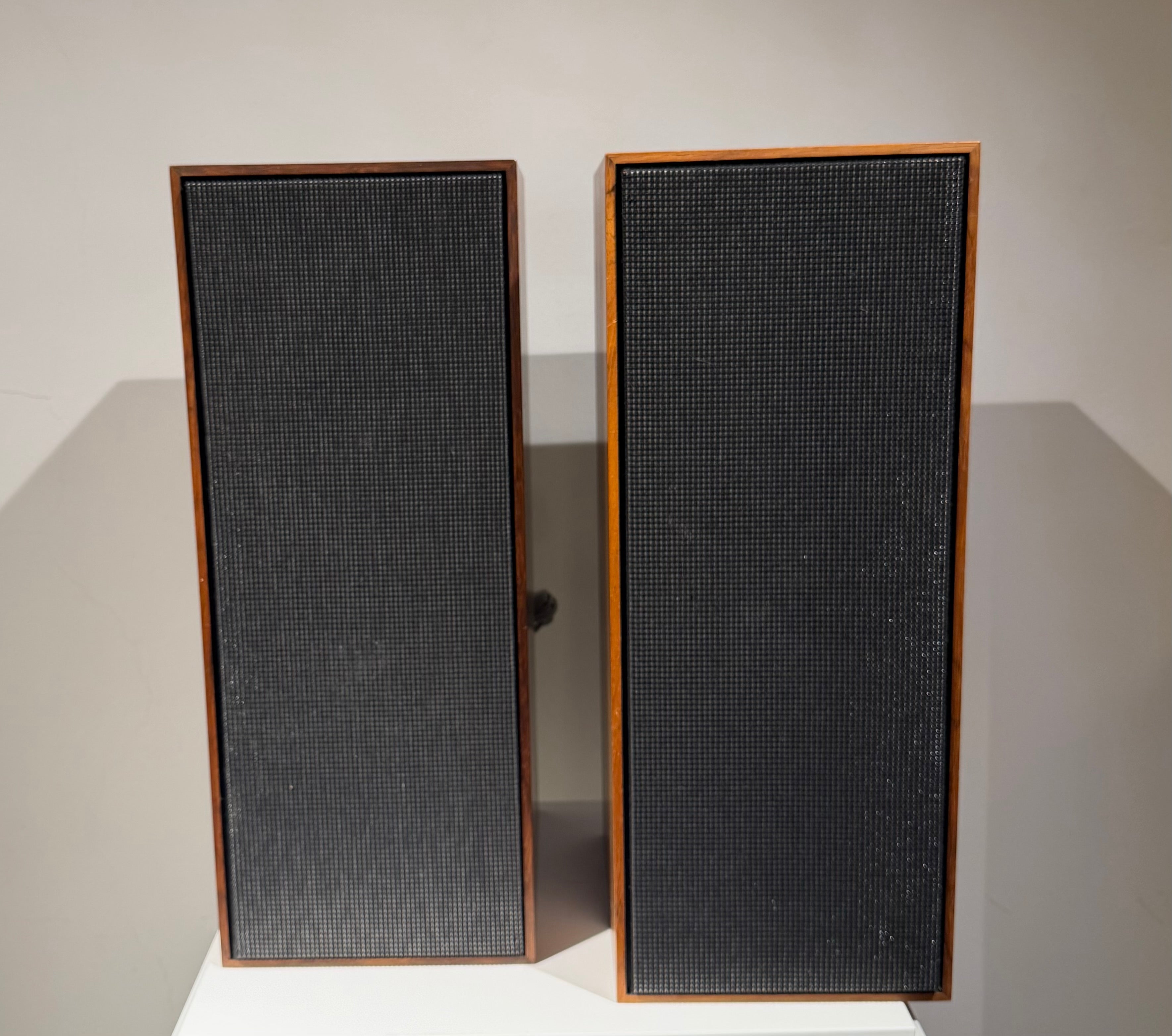 BeoVox 1200 (16959-17147)