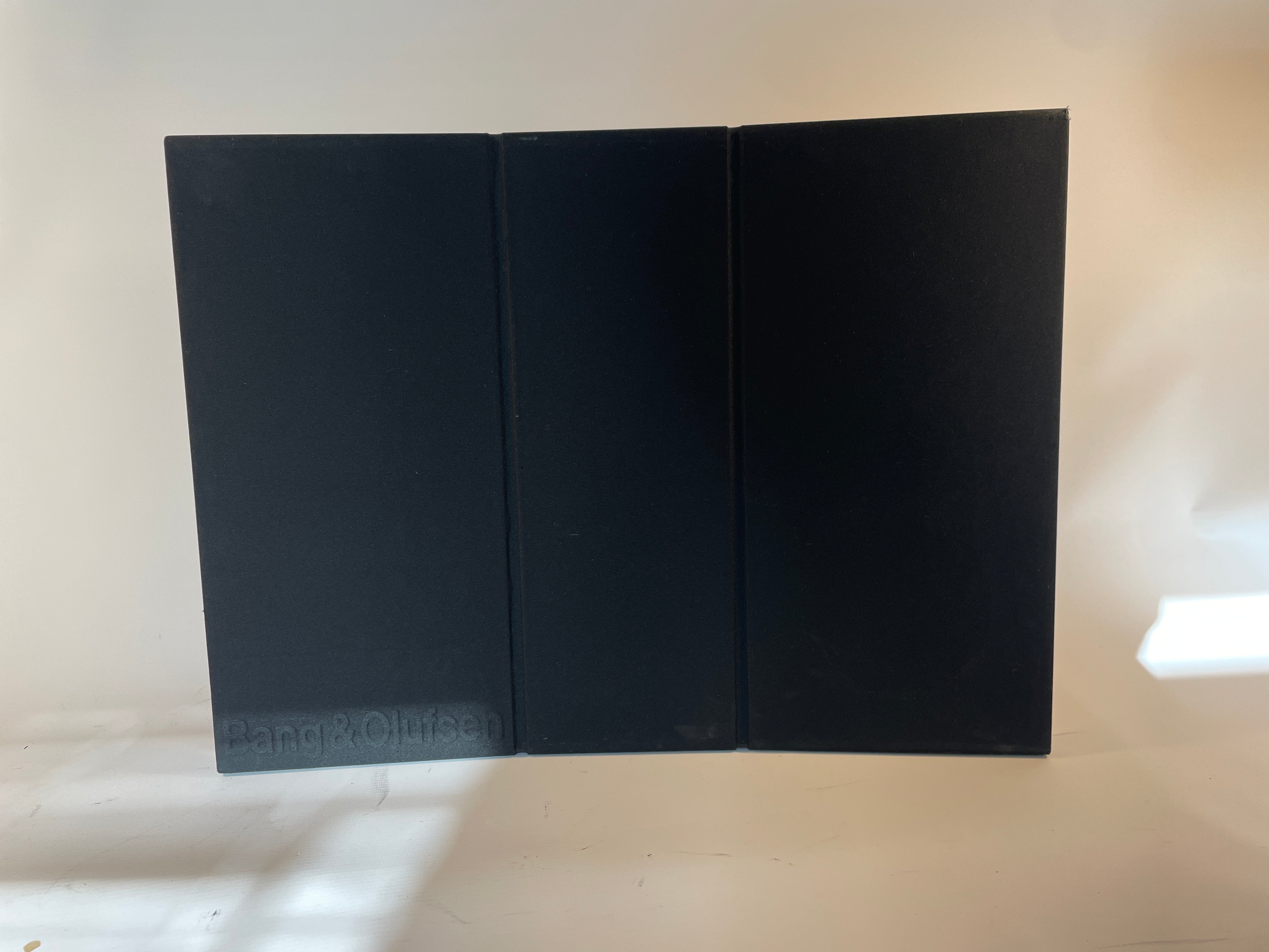 BeoVox RL 6000 (09640081) 1.stk Projekt
