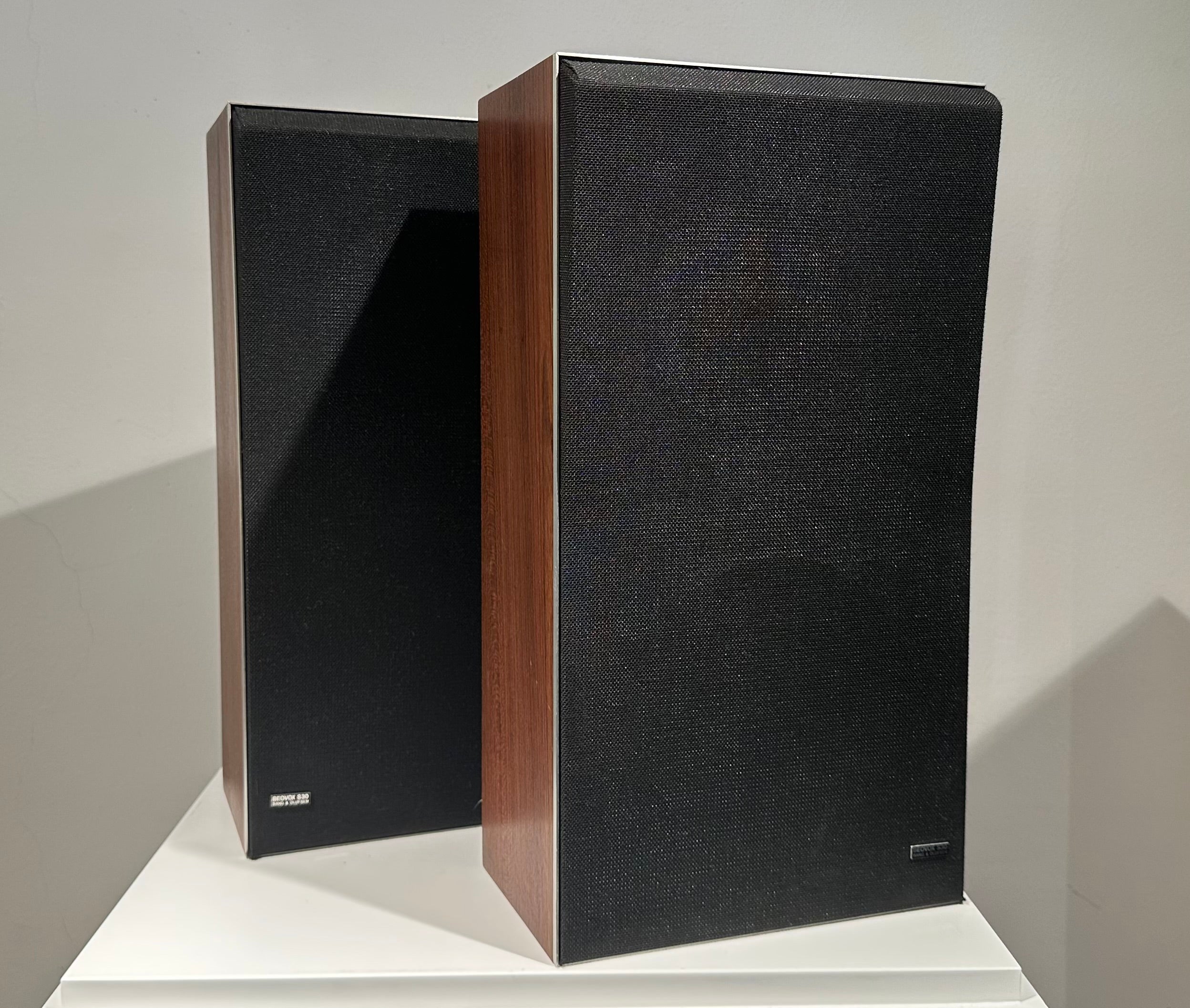 BeoVox S 30 (726831-726832)