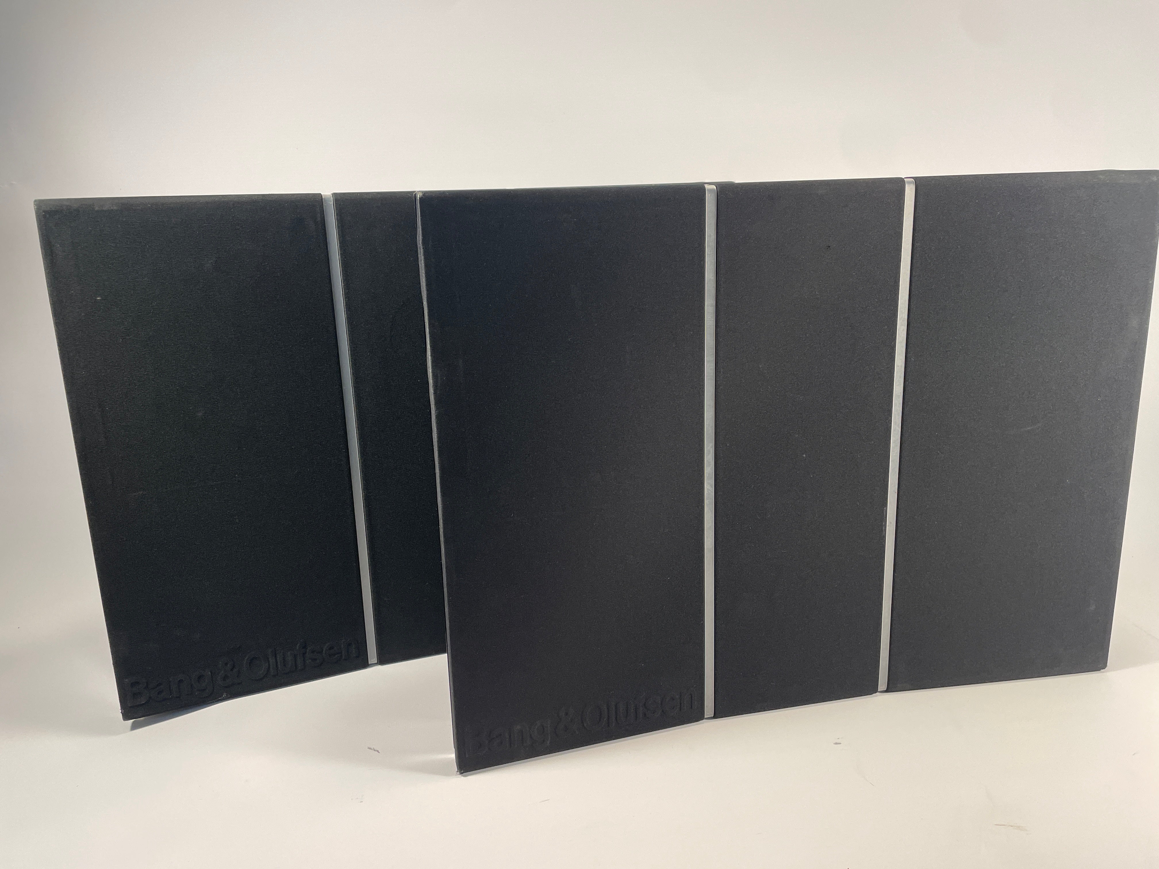 BeoVox RL 2000 (10062553)