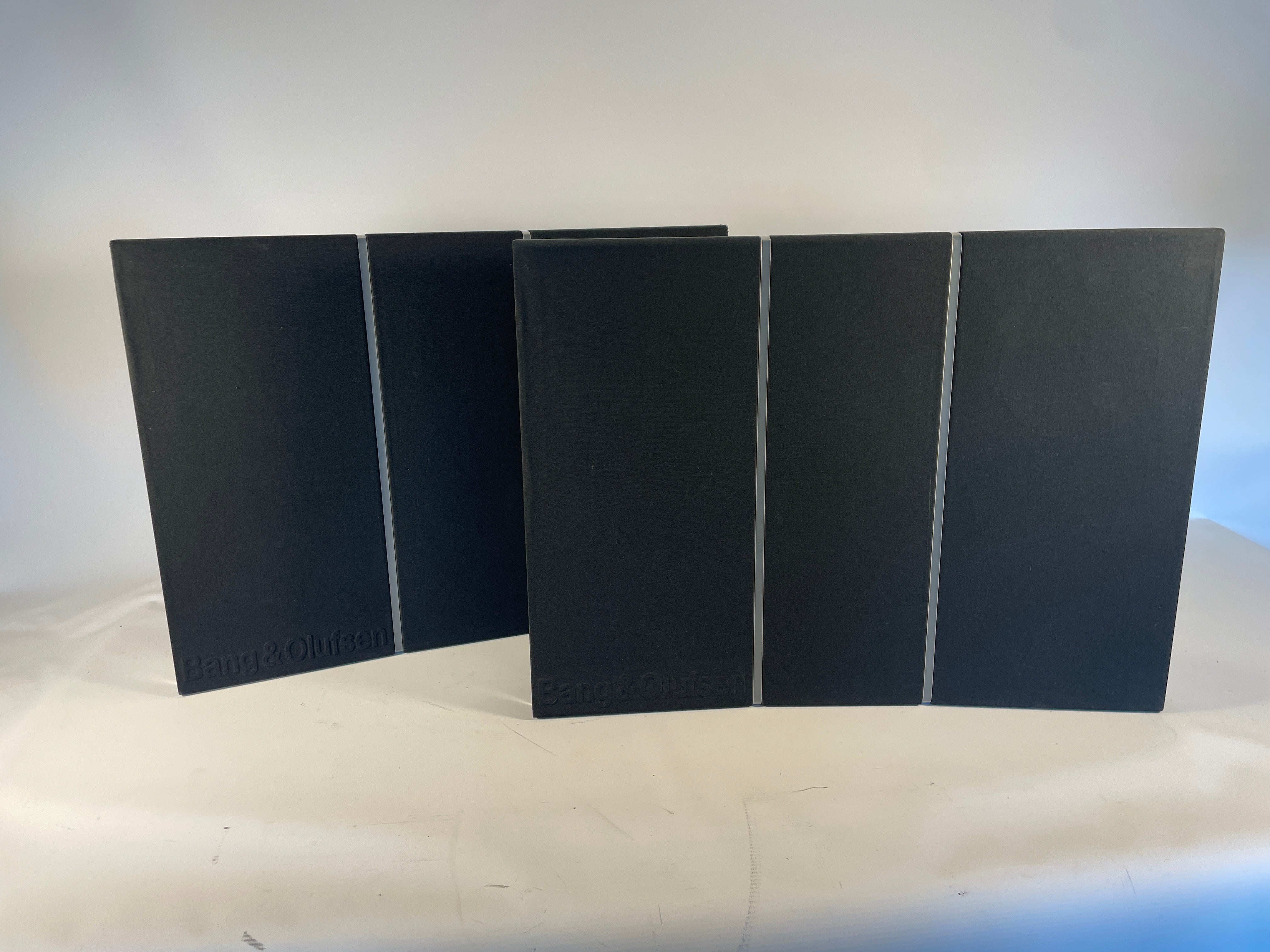 BeoVox RL 6000 (09745568)
