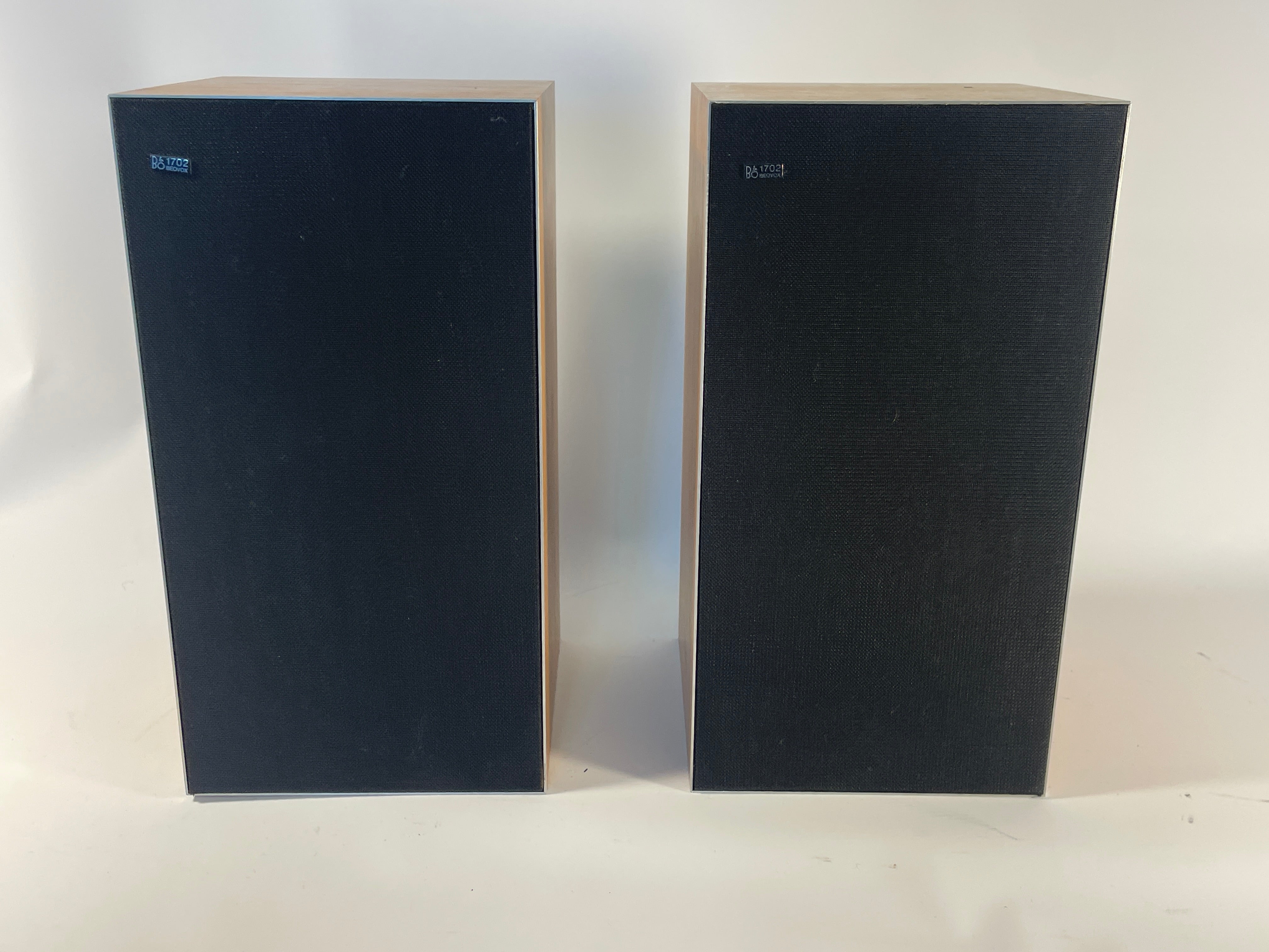 BeoVox 1702 (551800)
