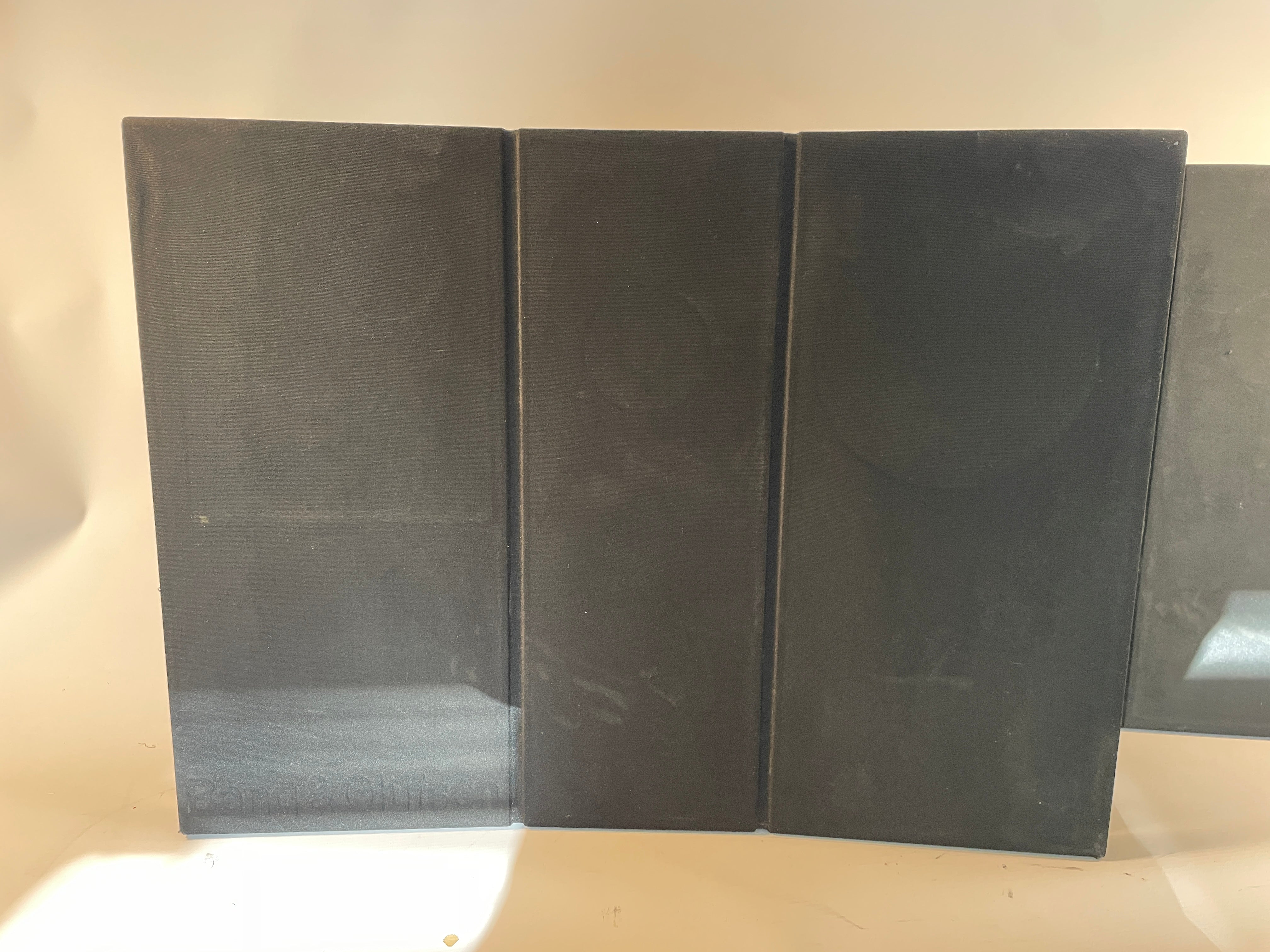 BeoVox RL 6000 (xx3828) Projekt