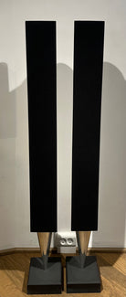 BeoLab 8000 (17289335)