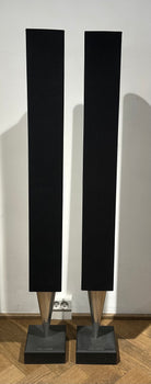 BeoLab 8000 (14785076)