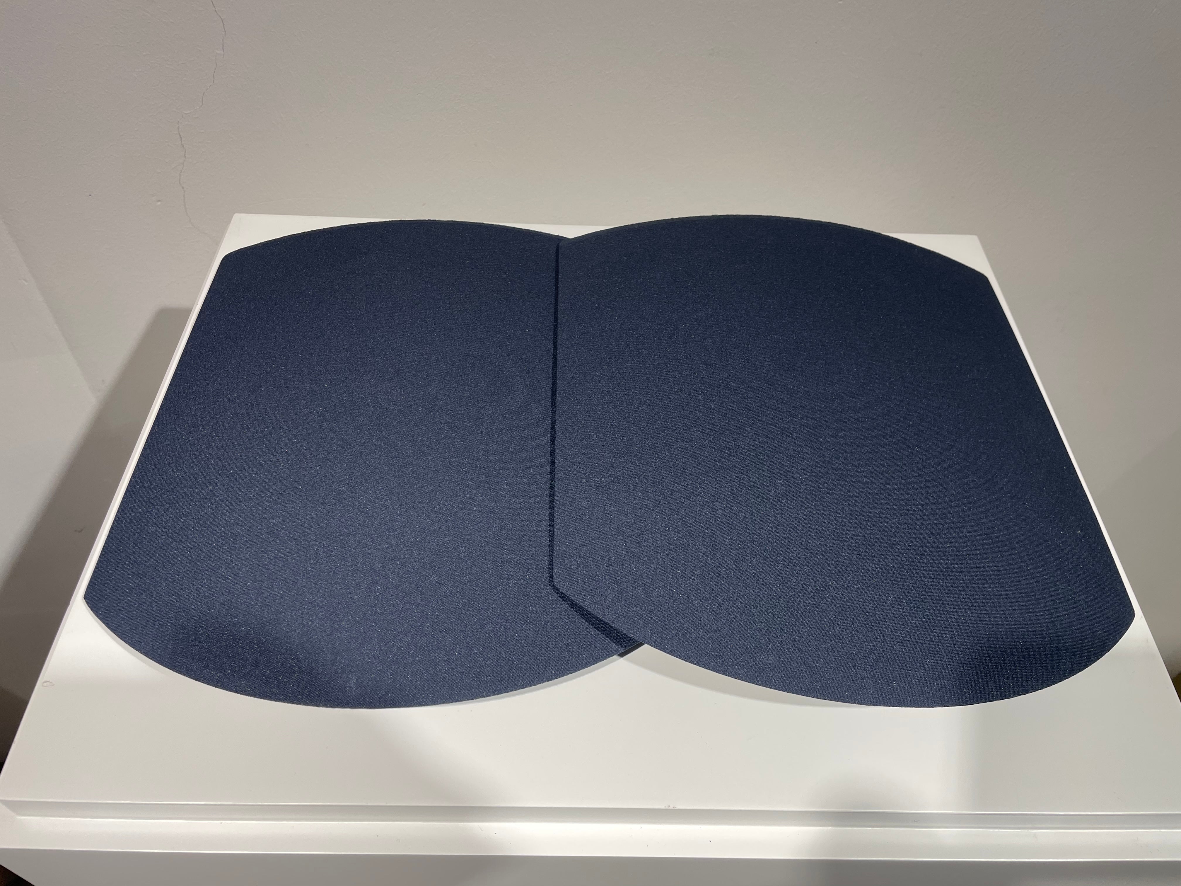 BeoLab 17 cover Blue