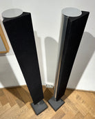BeoLab 8000 (14201491)