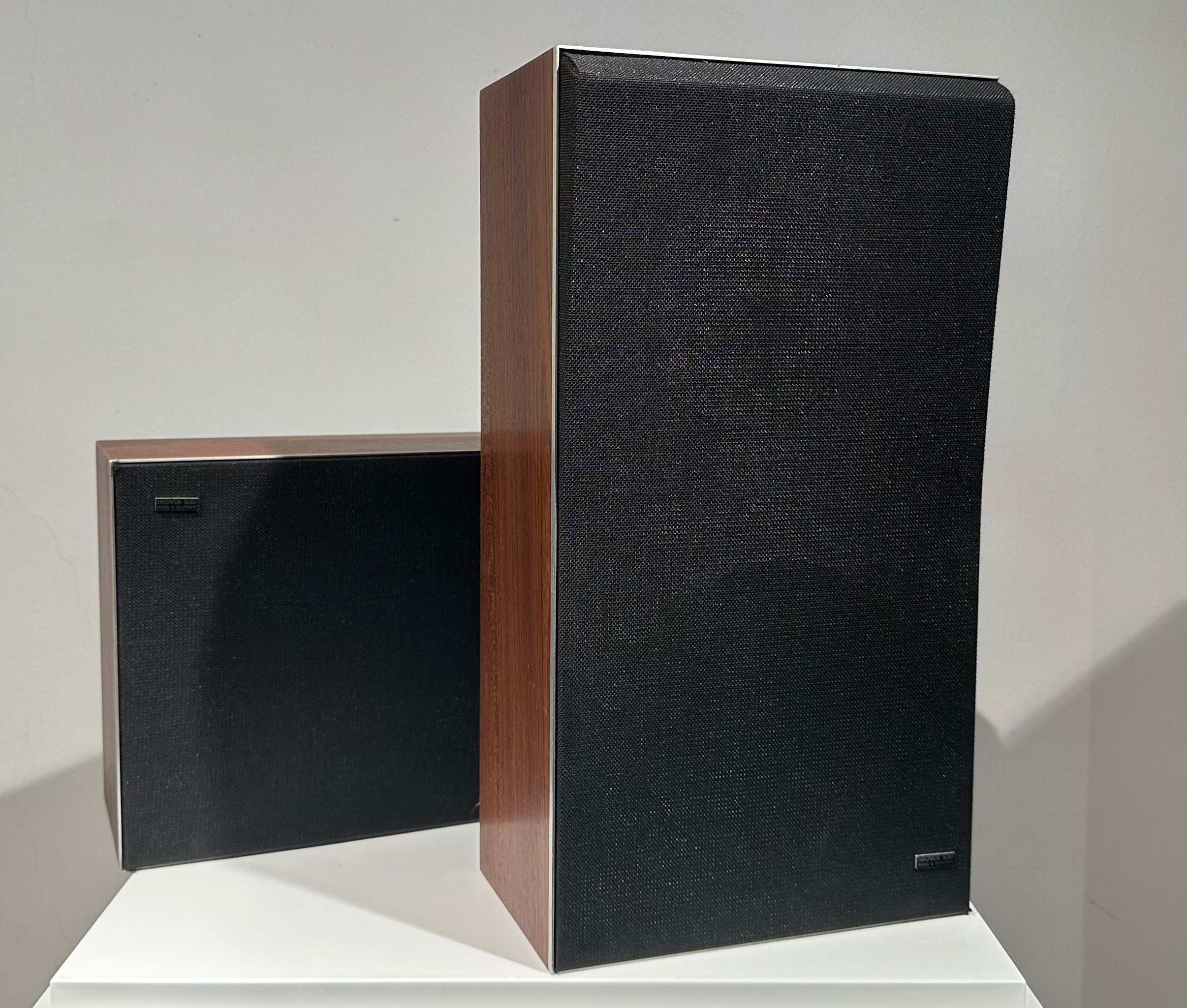 BeoVox S 30 (726831-726832)