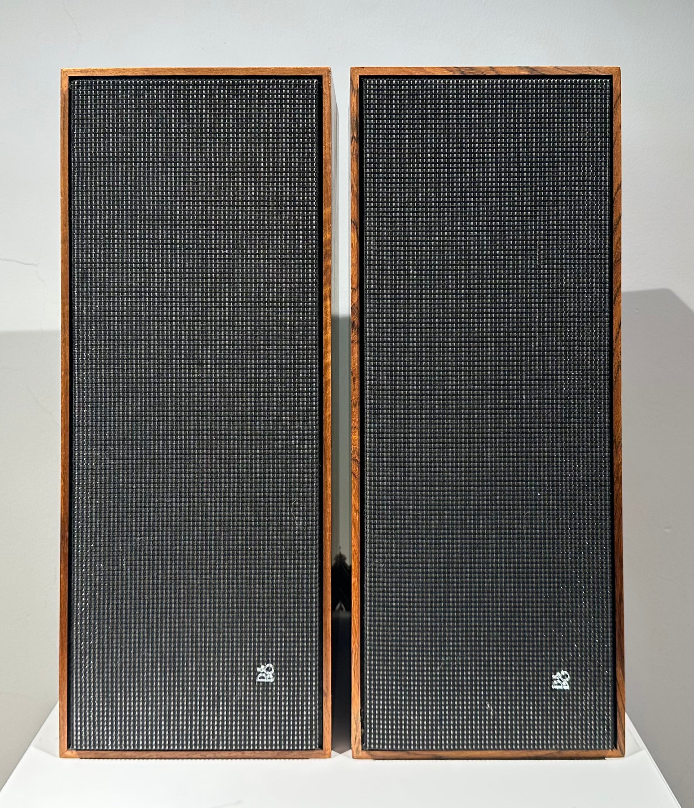BeoVox 1000 (82584-82510)