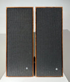 BeoVox 1000 (82584-82510)