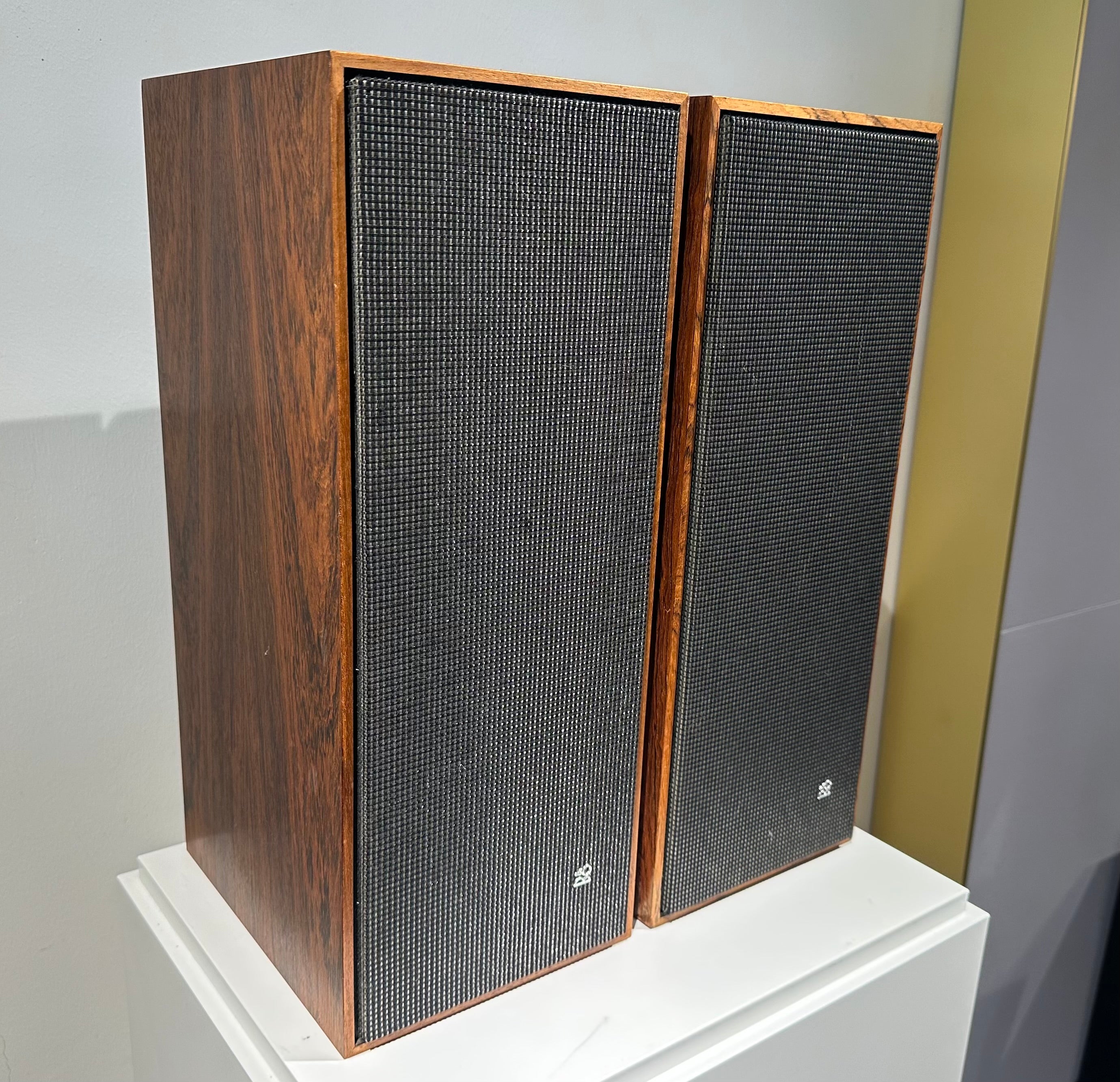 BeoVox 1000 (82584-82510)