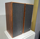 BeoVox 1000 (82584-82510)