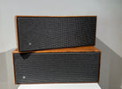 BeoVox 1000 (82584-82510)