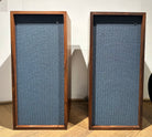 BeoVox type S (260704)