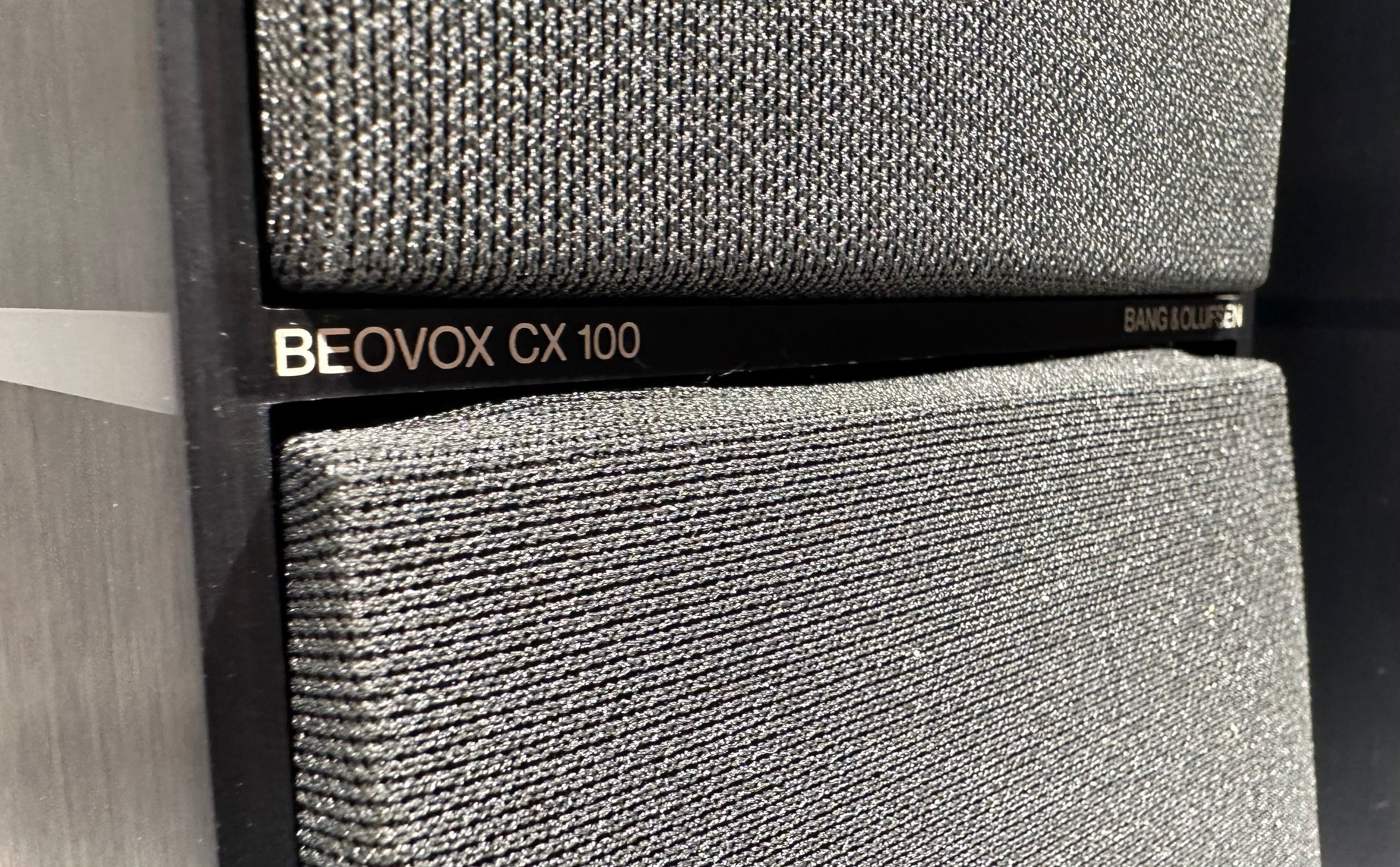 BeoVox CX 100 Sort (260711)
