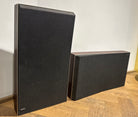 BeoVox P 30 (1312119)