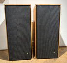 BeoVox 3000 teak (64832)