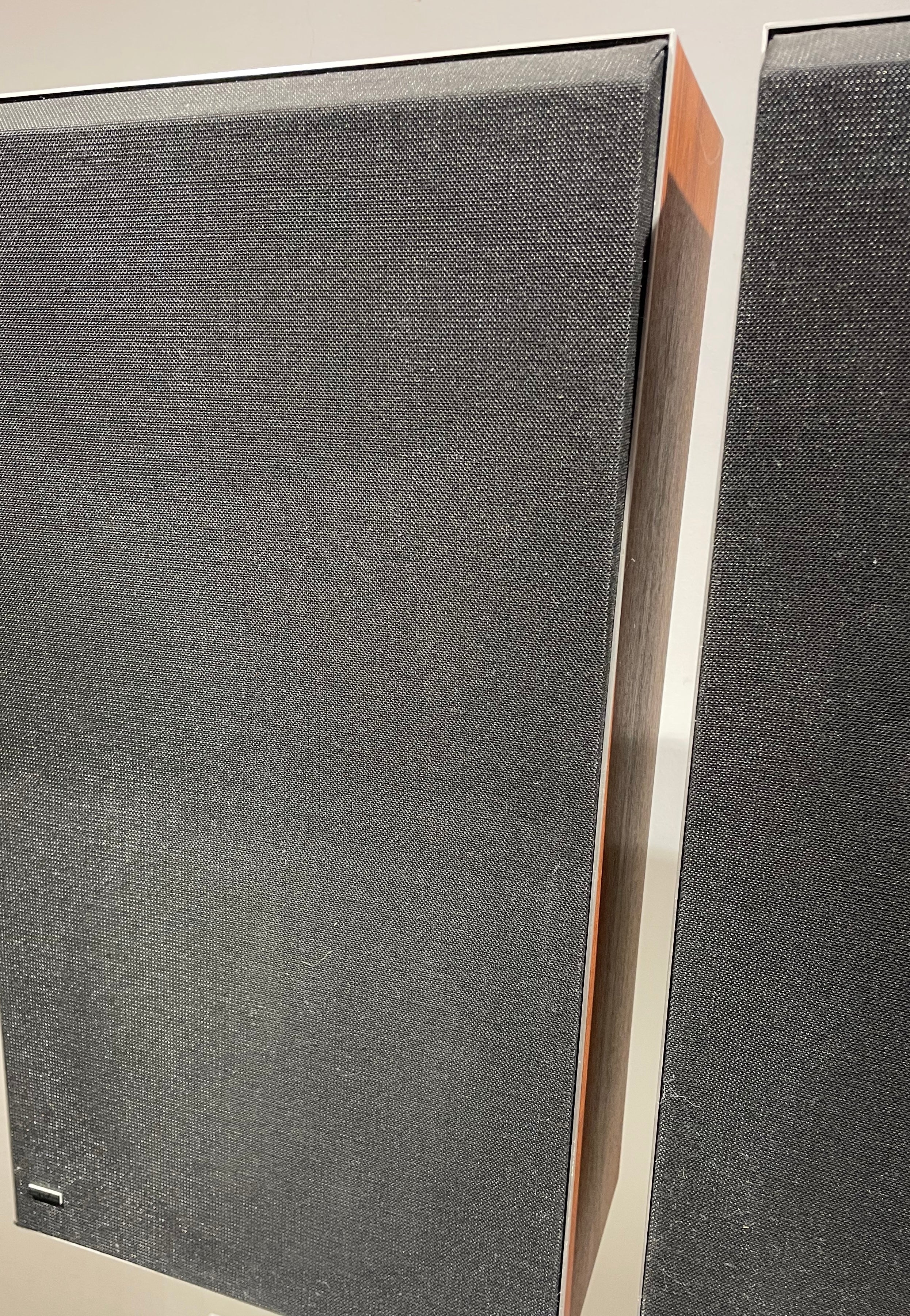 BeoVox  S 60 (744319)