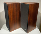 BeoVox 2600 (53718/53659)